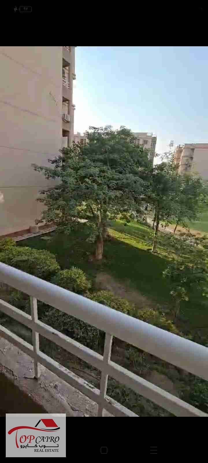 1000395282. jpg