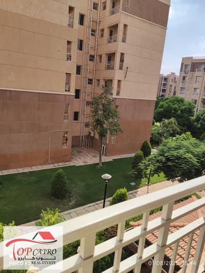 شقة 2 غرفة نوم للايجار في مدينتي، القاهرة - WhatsApp Image 2025-08-01 at 3.51. 21 PM. jpeg