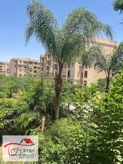 3 Bedroom Flat for Sale in Madinaty, Cairo - WhatsApp Image 2025-08-06 at 12.42. 36 AM. jpeg