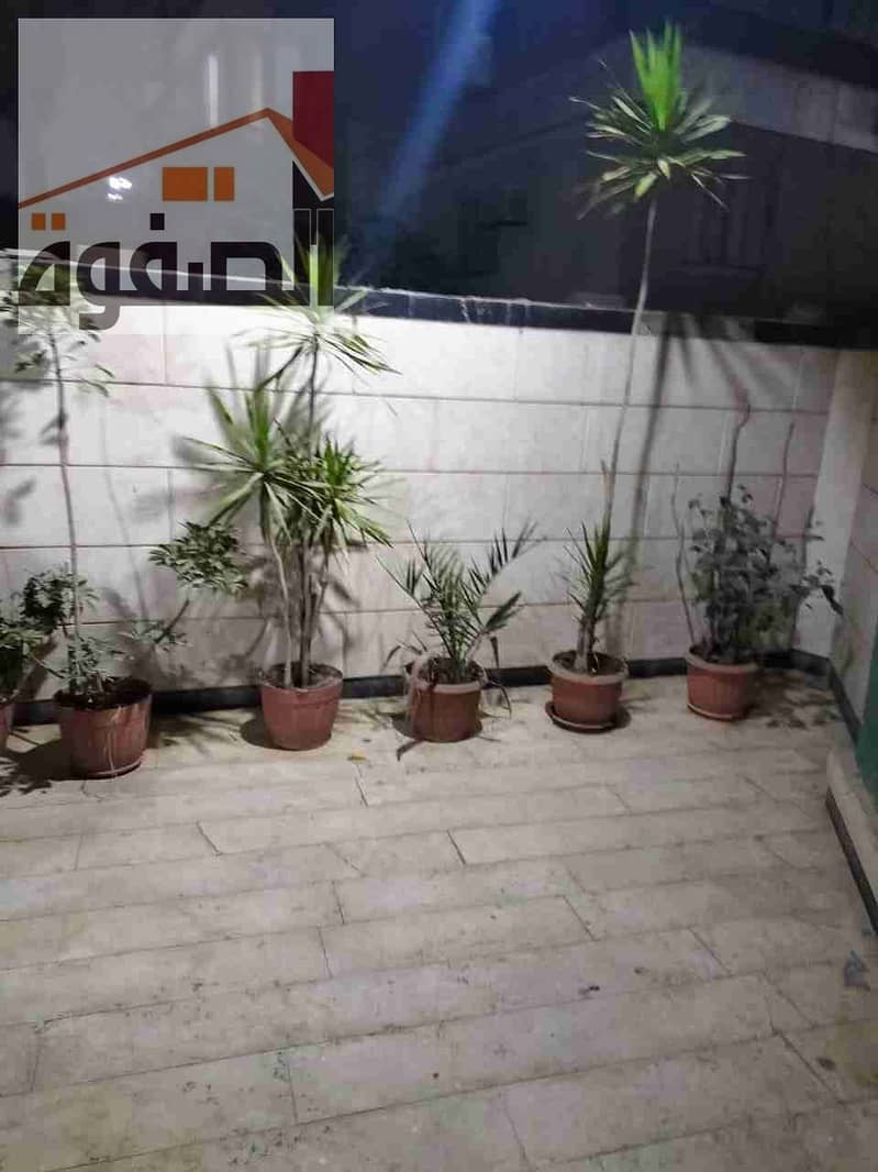 20 1000204442. jpg