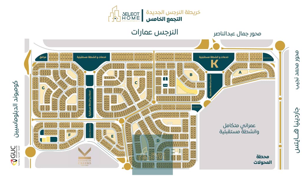 6 النرجس الجديدة. jpg