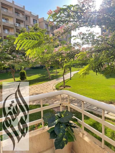 2 Bedroom Apartment for Rent in Madinaty, Cairo - IMG-20250825-WA0143. jpg