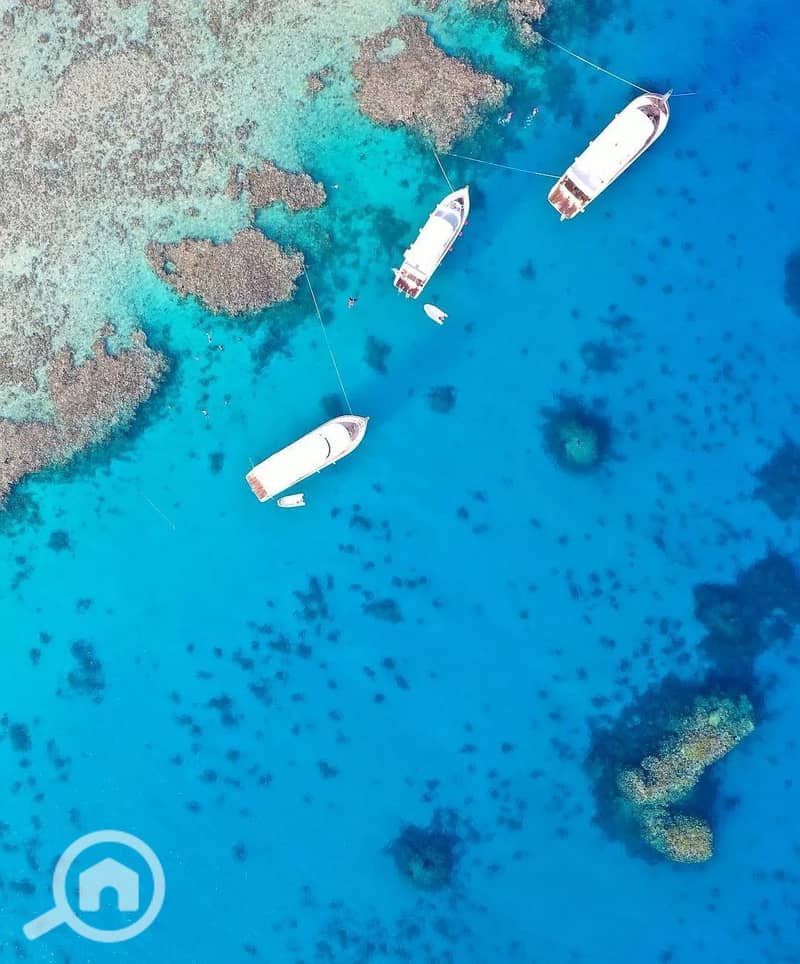 7 experience. sahlhasheesh_1724174839413. jpeg