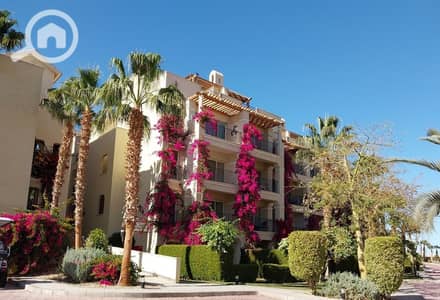 Studio for Sale in Sahl Hasheesh, Red Sea - 5b7ce7bf-dce5-4307-93da-dc97c67d5b0f. jpeg