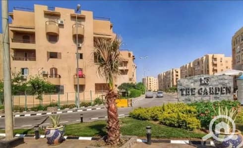2 Bedroom Apartment for Rent in New Cairo, Cairo - dcdf3fba-d930-4a89-89ea-2a5a146d8669. jpg