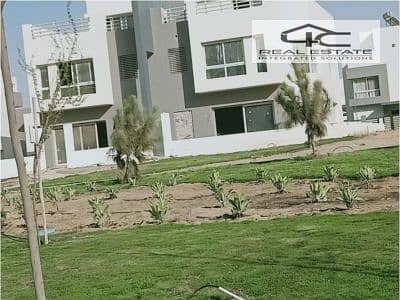 8 55. jpg