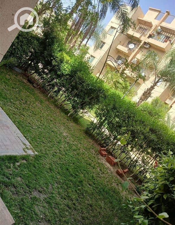 شقة للايجار مفروشة ارضي بجاردن مدخل خاص بجوار مول ذاجيت الشيخ زايد شقة للايجار مفروشة ارضي بجاردن مدخل خاص بجوار مول ذاجيت الشيخ زايد