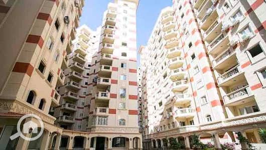 3 Bedroom Apartment for Sale in Smoha, Alexandria - IMG_3147. jpg