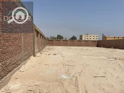 أرض سكنية  للبيع في طنطا، الغربية - ارض 1700 متر. jpeg