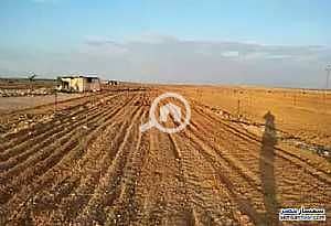 Agricultural for Sale in New Minya, Minya - ارض طريق اسيوط. jpg