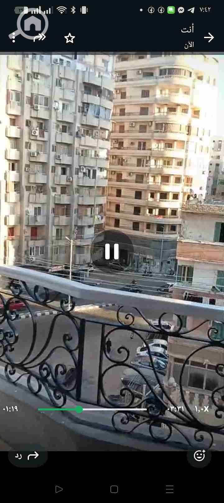 13 1000164507. jpg