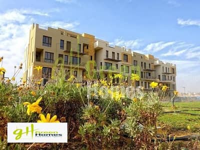 دوبلكس 3 غرف نوم للبيع في القاهرة الجديدة، القاهرة - 995d3da8-6133-11ee-bade-c68390fbc344. jpeg