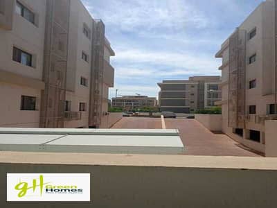 3 Bedroom Apartment for Rent in New Cairo, Cairo - WhatsApp Image 2024-11-04 at 14.07. 57 (5). jpeg