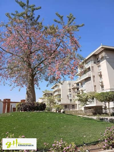 2 Bedroom Apartment for Sale in New Cairo, Cairo - WhatsApp Image 2025-07-15 at 4.02. 57 PM (5). jpeg
