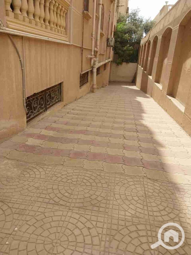 5 1000032642. jpg