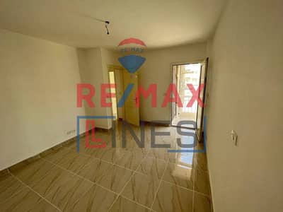 3 Bedroom Apartment for Sale in Madinaty, Cairo - WhatsApp Image 2025-08-28 at 13.44. 19(1). jpeg
