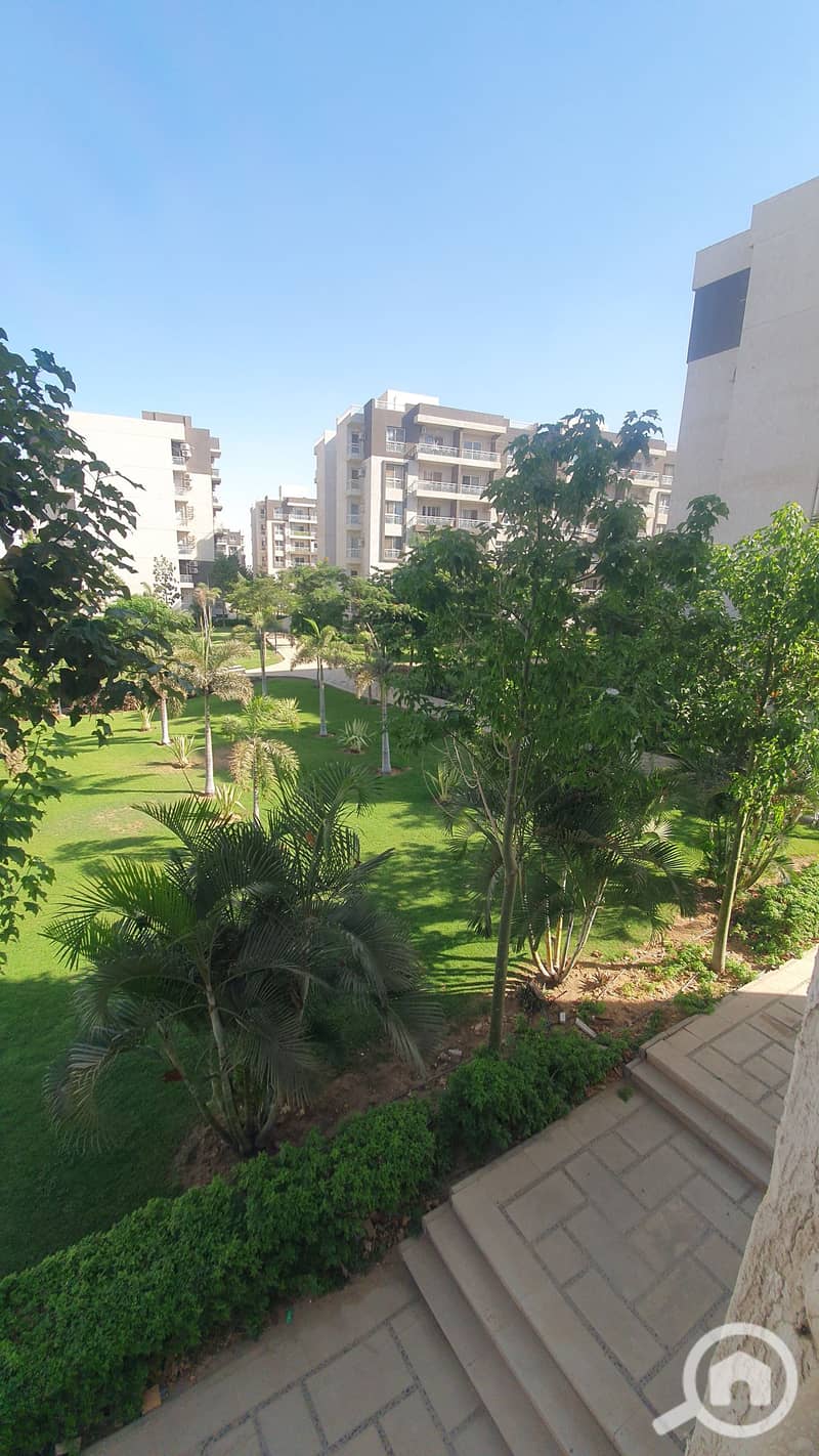 ٢٠٢٥٠٨٢٧_١٦٢٠٤٤. jpg