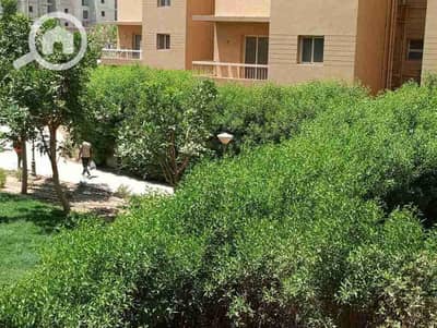شقة 2 غرفة نوم للايجار في 6 أكتوبر، الجيزة - 1748436625080. jpg