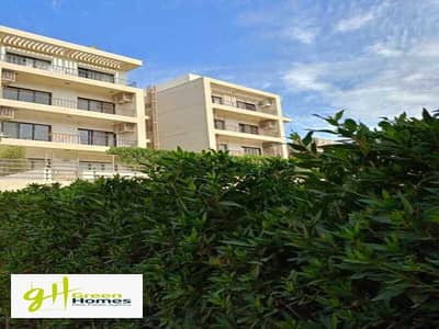 3 Bedroom Penthouse for Sale in New Cairo, Cairo - WhatsApp Image 2024-07-16 at 3.28. 27 PM. jpeg