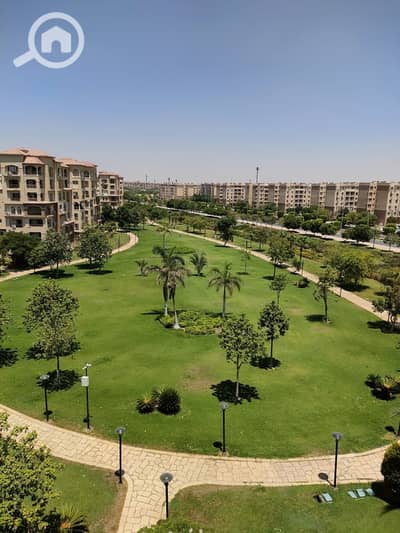 3 Bedroom Flat for Rent in Madinaty, Cairo - WhatsApp Image 2025-08-09 at 1.17. 24 PM. jpeg
