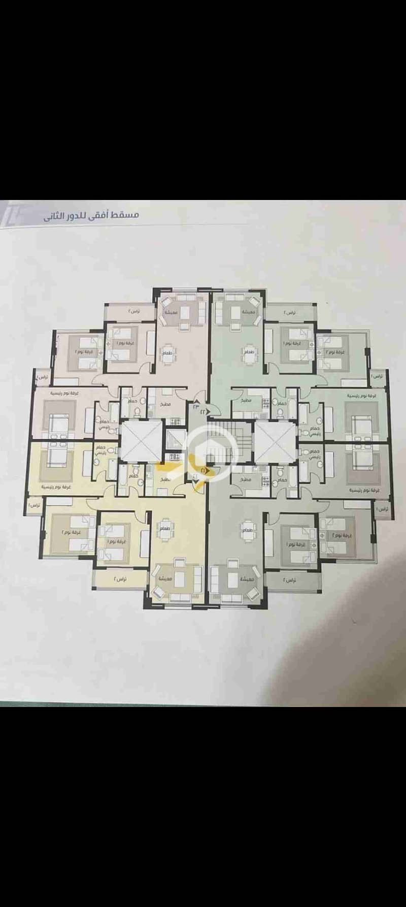 4 1000675409. jpg