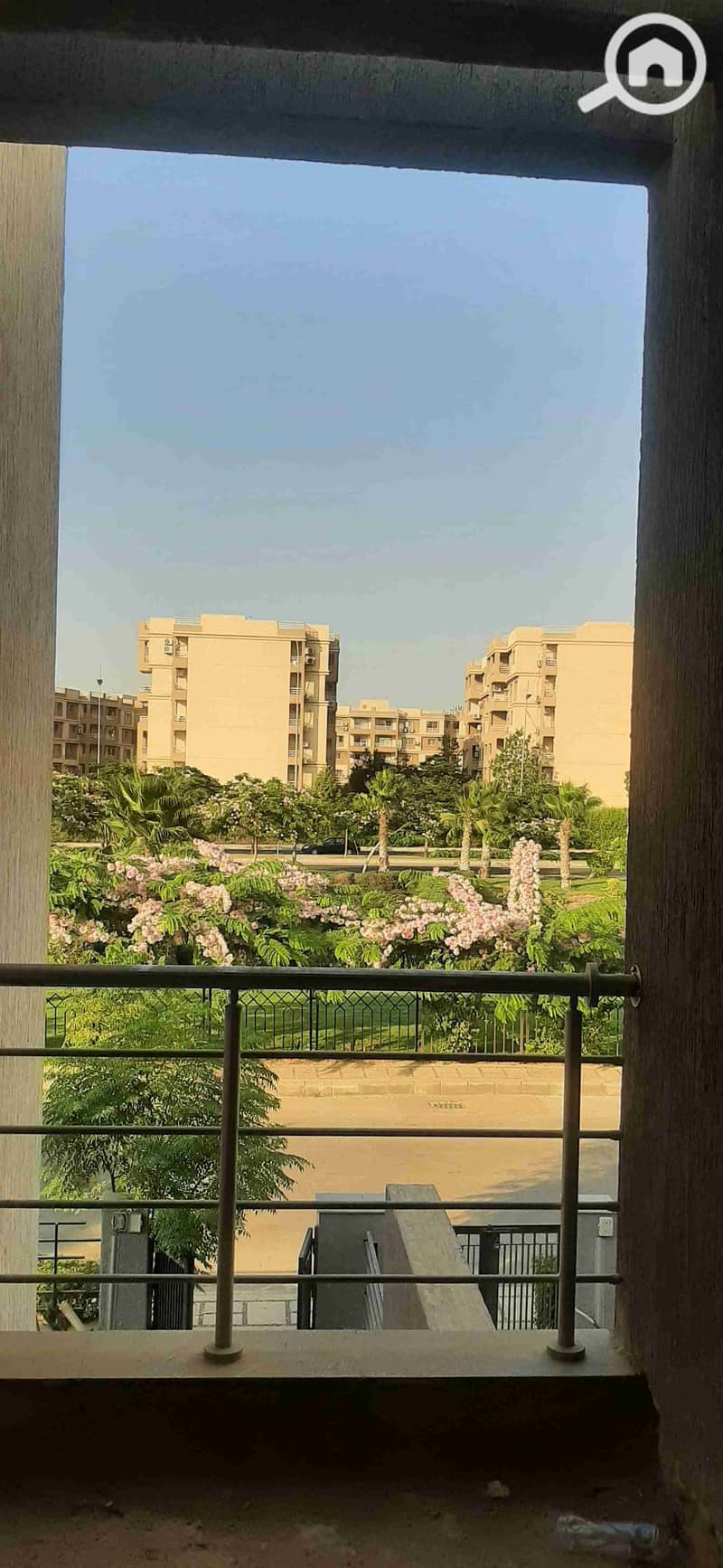 12 ٢٠٢٥٠٨٠٤_١٨٠٦٣٢. jpg
