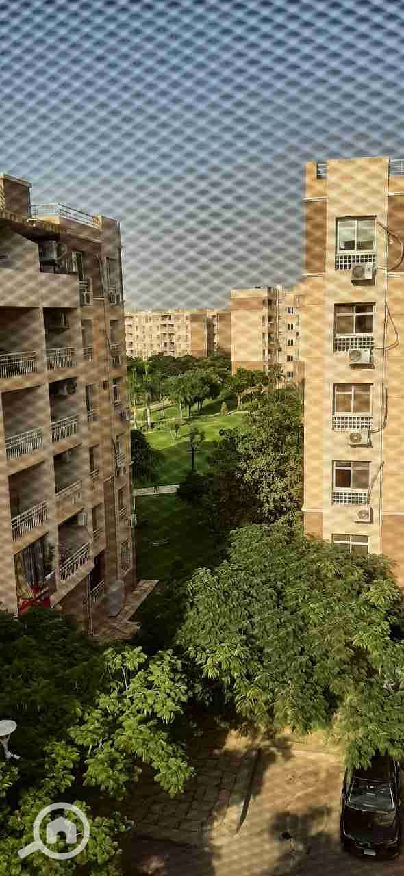9 1000754590. jpg