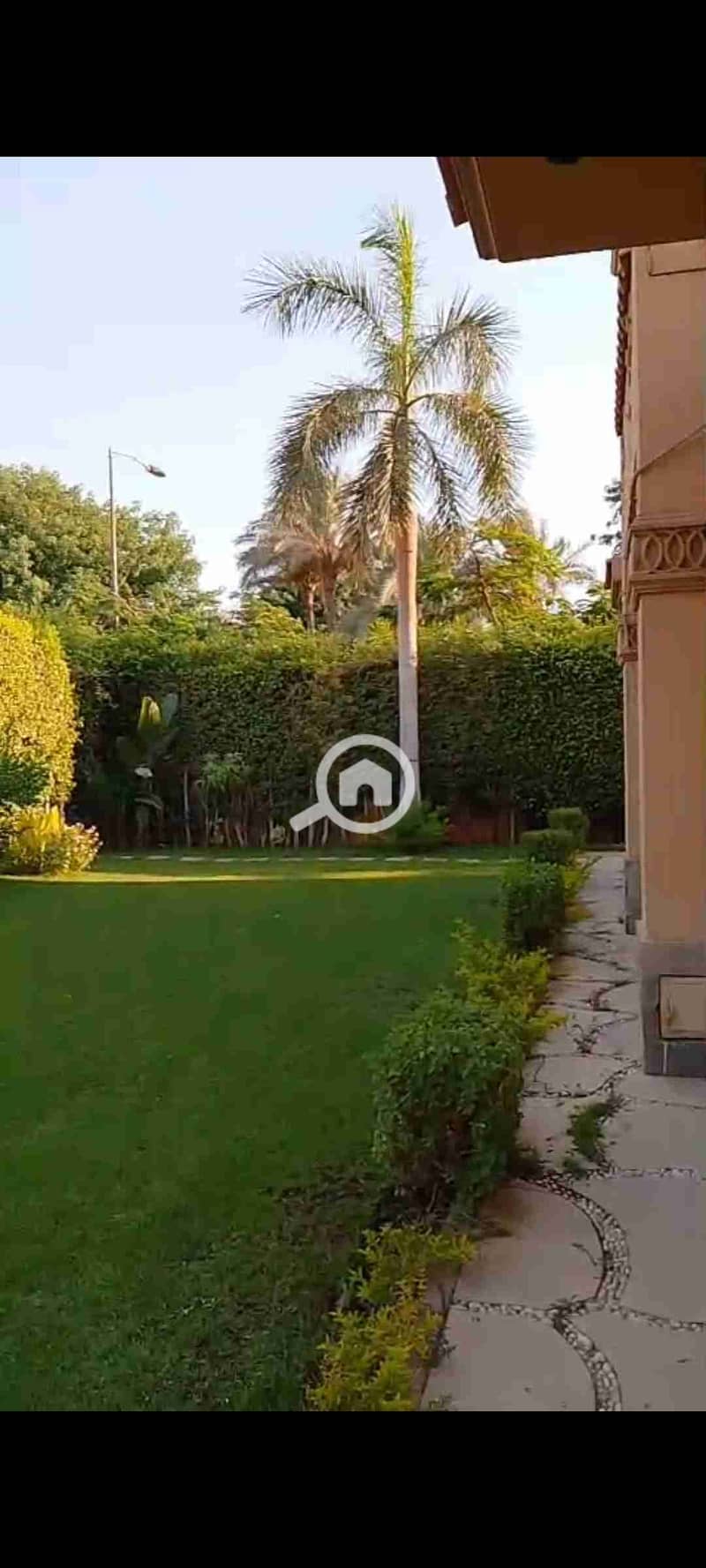 12 1000736786. jpg