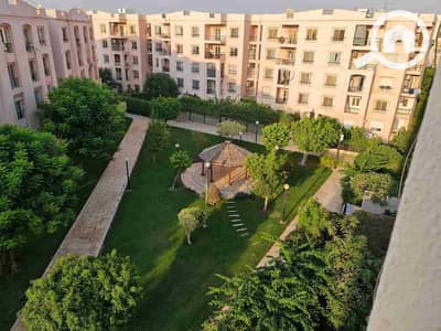 3 Bedroom Flat for Rent in New Cairo, Cairo - 1000811217. jpg