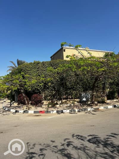 4 Bedroom Villa for Sale in New Cairo, Cairo - IMG-20250624-WA0068. jpg
