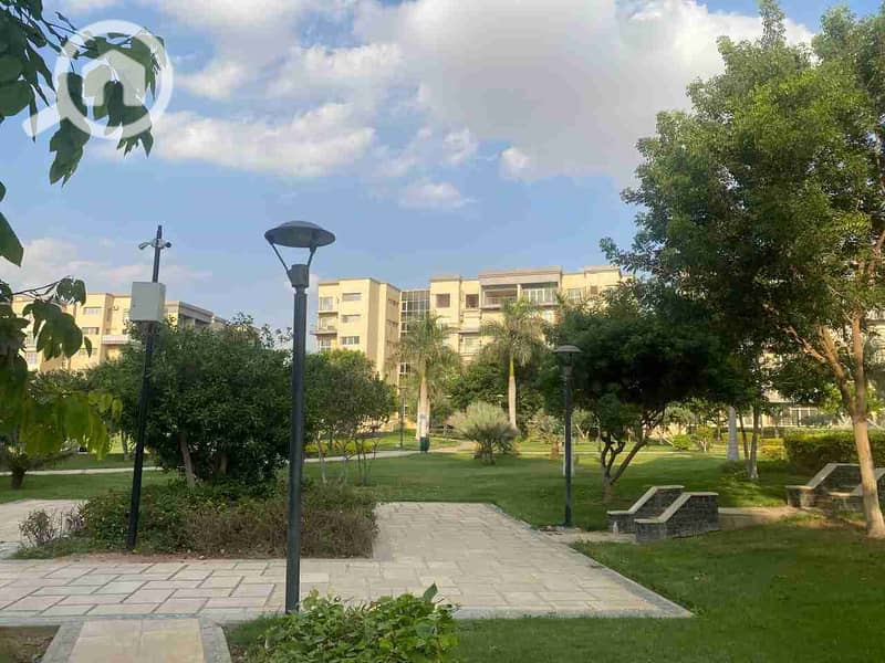 9 1000454119. jpg