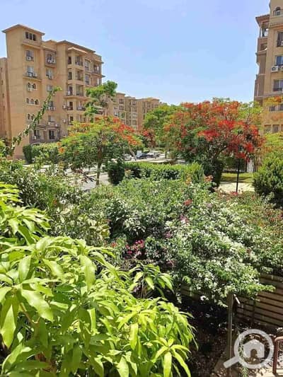 3 Bedroom Flat for Rent in Madinaty, Cairo - FB_IMG_1751449388361. jpg