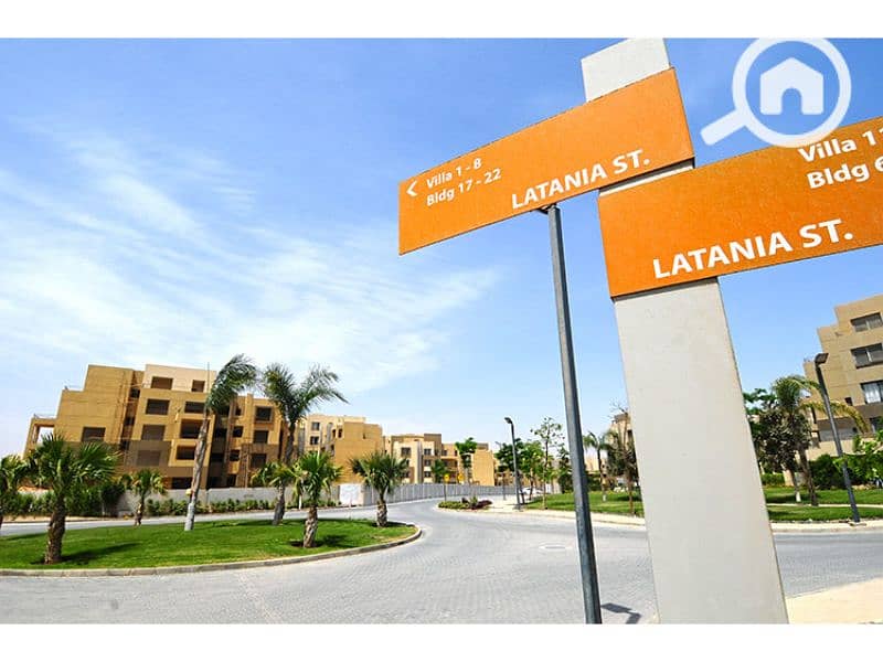 11 Palm Parks 11. jpg