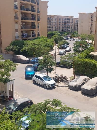 فلیٹ 3 غرف نوم للايجار في القاهرة الجديدة، القاهرة - WhatsApp Image 2025-08-24 at 4.31. 57 PM. jpeg