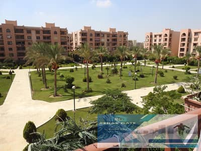 شقة 3 غرف نوم للبيع في القاهرة الجديدة، القاهرة - WhatsApp Image 2025-01-20 at 9.47. 06 PM. jpeg