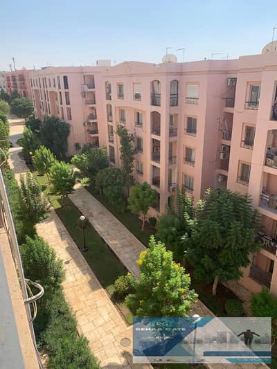 3 Bedroom Flat for Rent in New Cairo, Cairo - WhatsApp Image 2025-08-20 at 4.46. 36 PM. jpeg