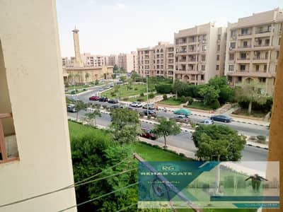 2 Bedroom Flat for Rent in New Cairo, Cairo - WhatsApp Image 2025-08-14 at 16.16. 49 (1). jpeg