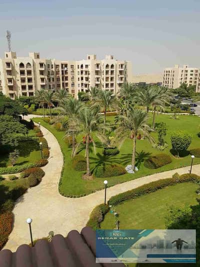 2 Bedroom Flat for Rent in New Cairo, Cairo - 1001029038. jpg