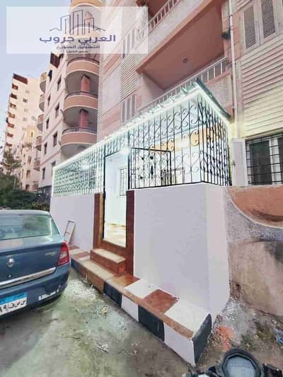 شقة 2 غرفة نوم للبيع في النخيل، الإسكندرية - 1000264558. jpg