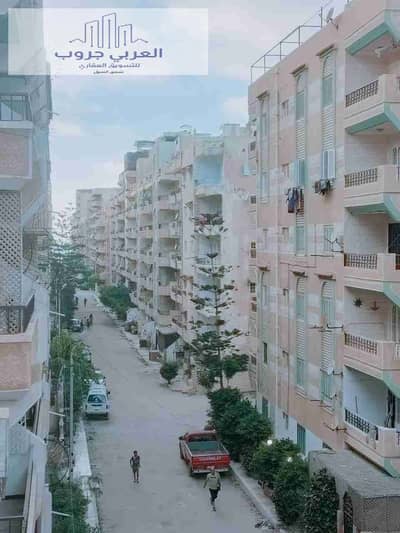 1 Bedroom Flat for Sale in Nakheel, Alexandria - 1000260740. jpg