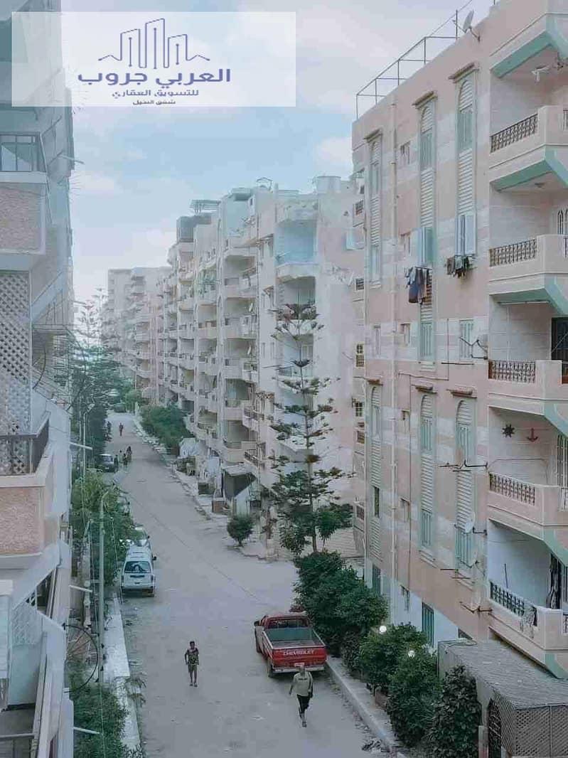 1000260740. jpg