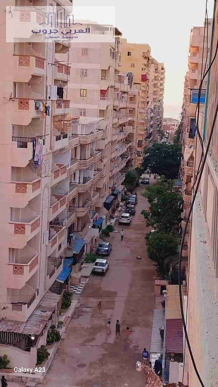 2 1000264381. jpg