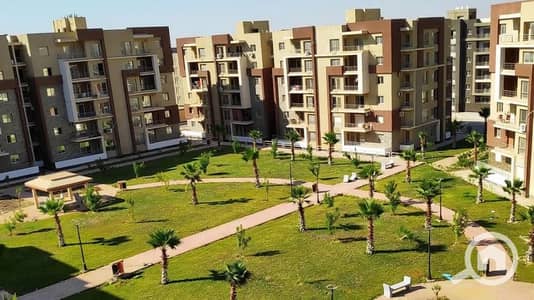 شقة 3 غرف نوم للايجار في القاهرة الجديدة، القاهرة - image. png