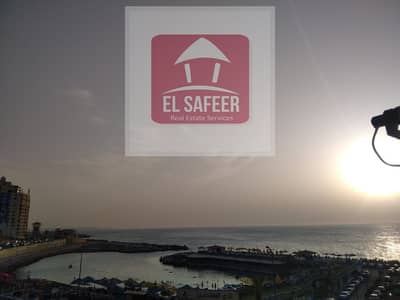2 Bedroom Flat for Rent in Saba Pasha, Alexandria - d2f33347-43fe-4c19-9070-647b80096970. jpg