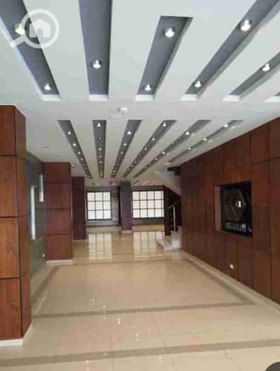 Retail for Sale in Bolkly, Alexandria - IMG_٢٠٢٥٠٨٢٨_٢١٥٠٢٤. jpg