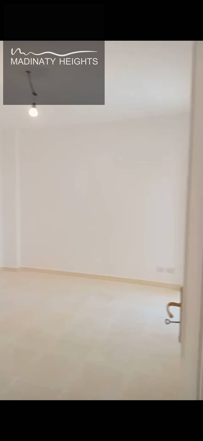 5 IMG_6398. png