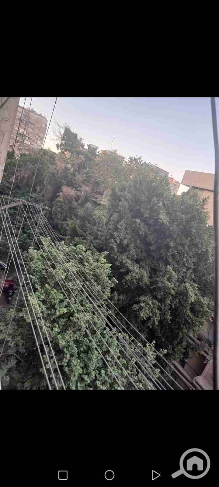 3 Screenshot_20250829_031133_com. whatsapp. jpg