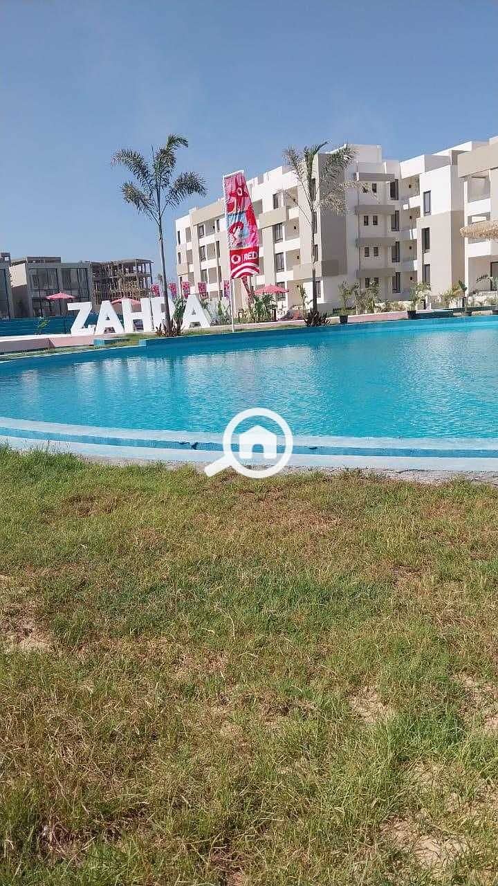 5 OzbQF5Fm8kRtSdzjQ2HXYtEdSMV8tlcOfSdLX9zs. jpg