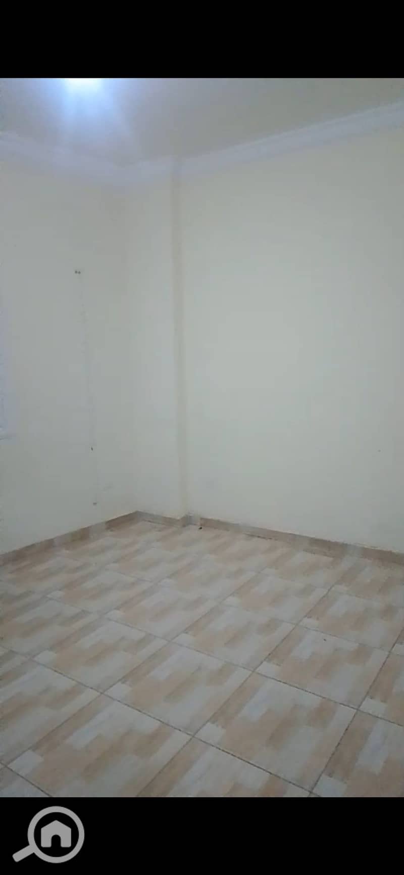 5 538489318_10239022443517098_3514237910103870406_n. jpg