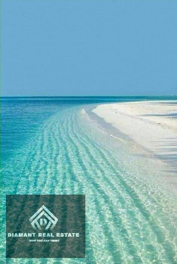 4 WhatsApp Image 2025-07-22 at 2.44. 10 PM. jpeg